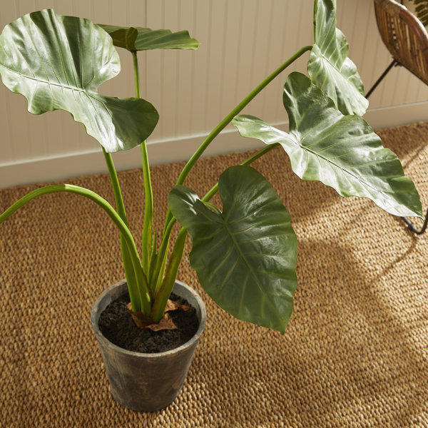 Freeport Park® Karcher 42'' Faux Elephant Ear Plant in Ceramic Pot